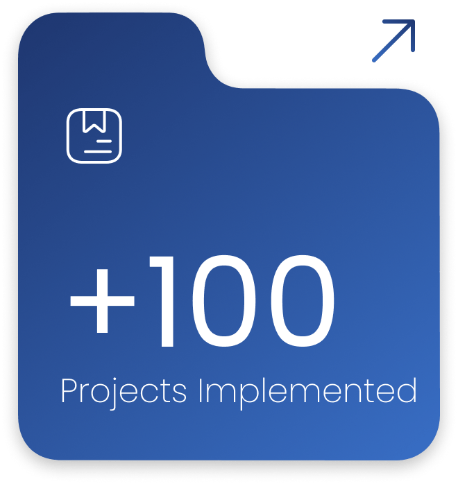 +100 Projects Implemented