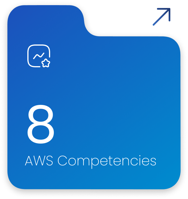 8 AWS Competencies