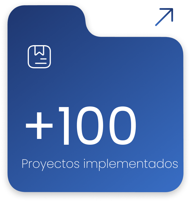 +100 Proyectos implementados